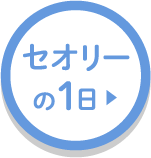 セオリーで過ごす仕事の一日